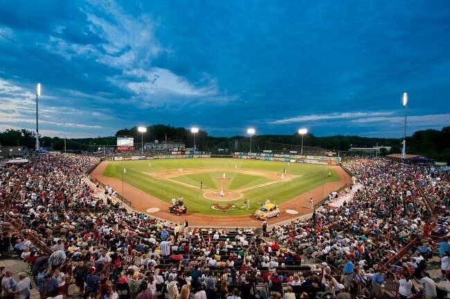 Albany Valley Cats Baseball 