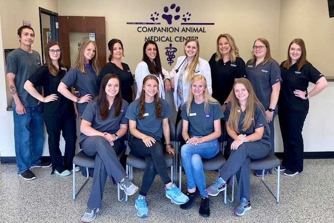 Group of veterinary staff members in medical uniforms posing for a photo at Companion Animal Medical Center.